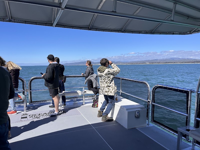 Whale Watching