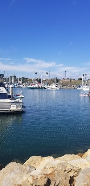 Whale Watching