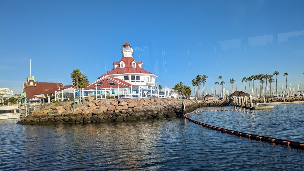 Whale Watching