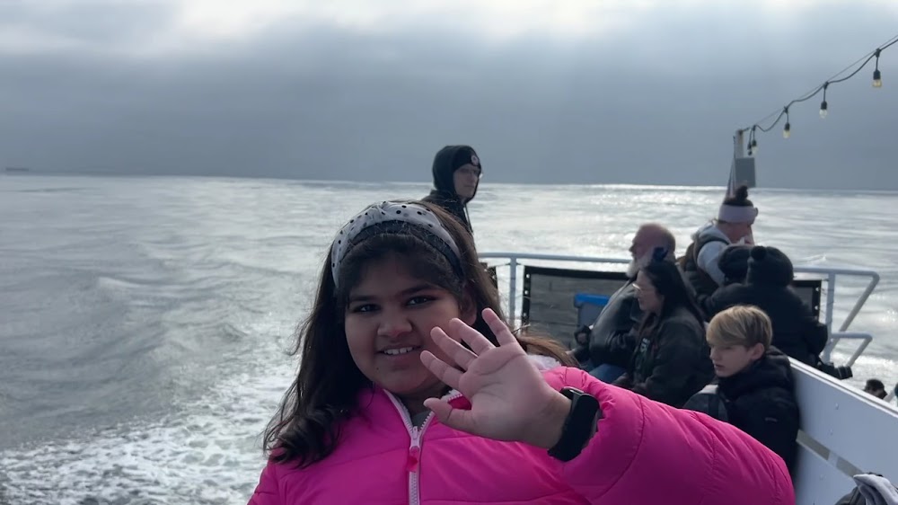 Whale watchinh