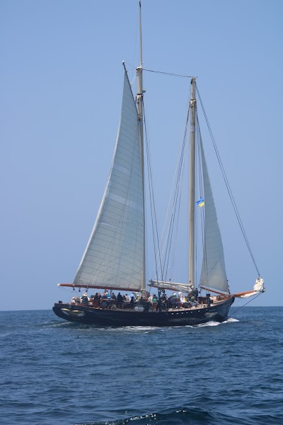 Wild Ocean Safari