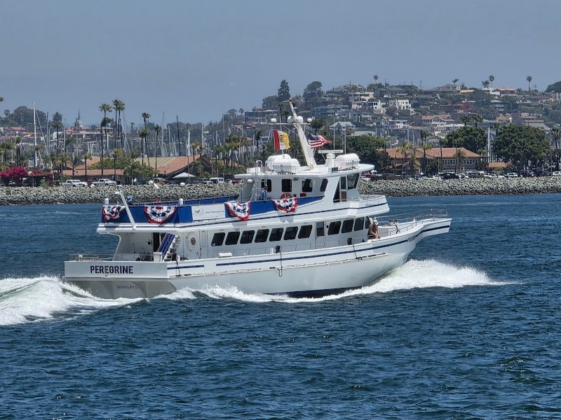 Wild Pacific Whale Watch