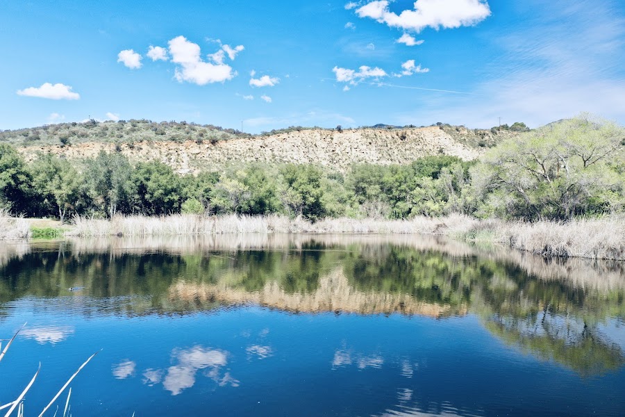 Wilderness Gardens Preserve