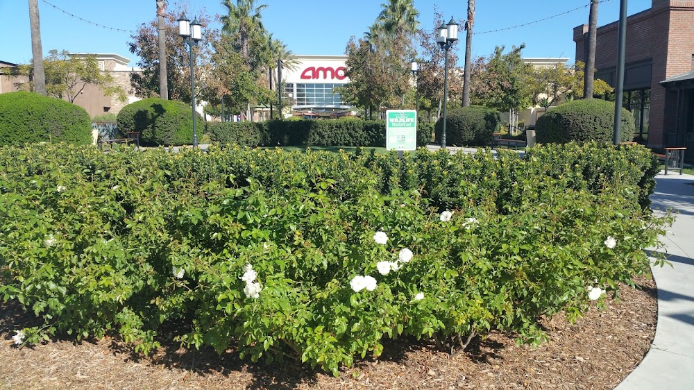 Wildlife Habitat