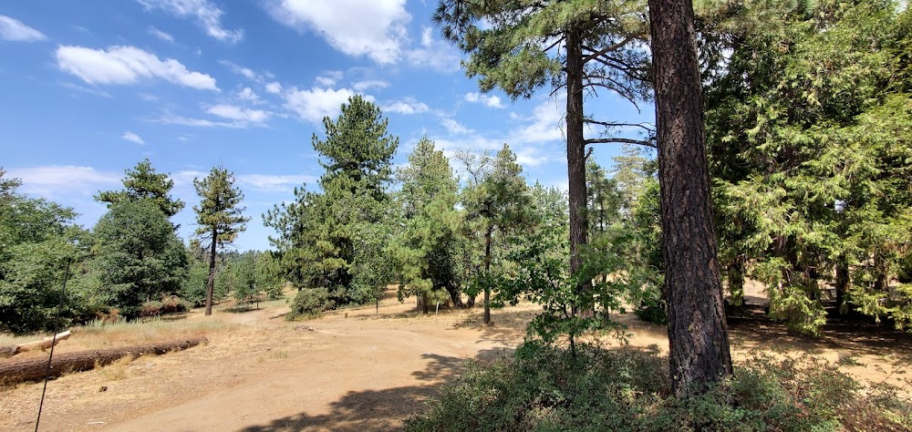 Wooded Hill Group Campground