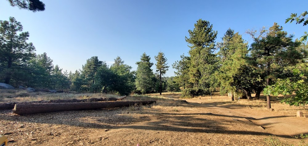 Wooded Hill Group Campground