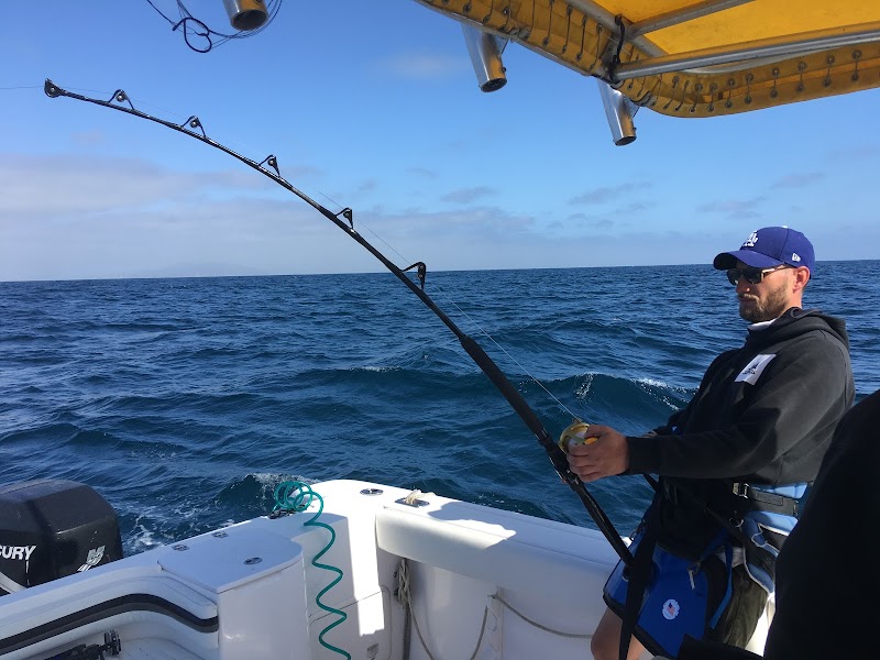 World Class Shark Fishing