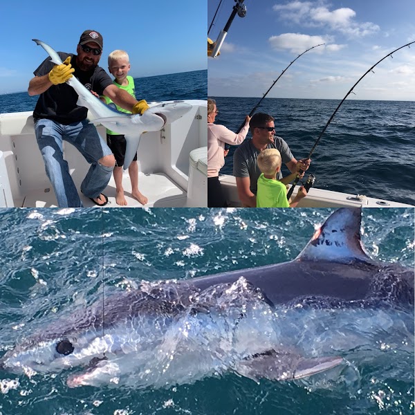 World Class Shark Fishing