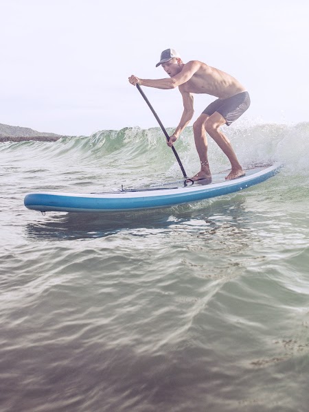 WOW Surf Boards