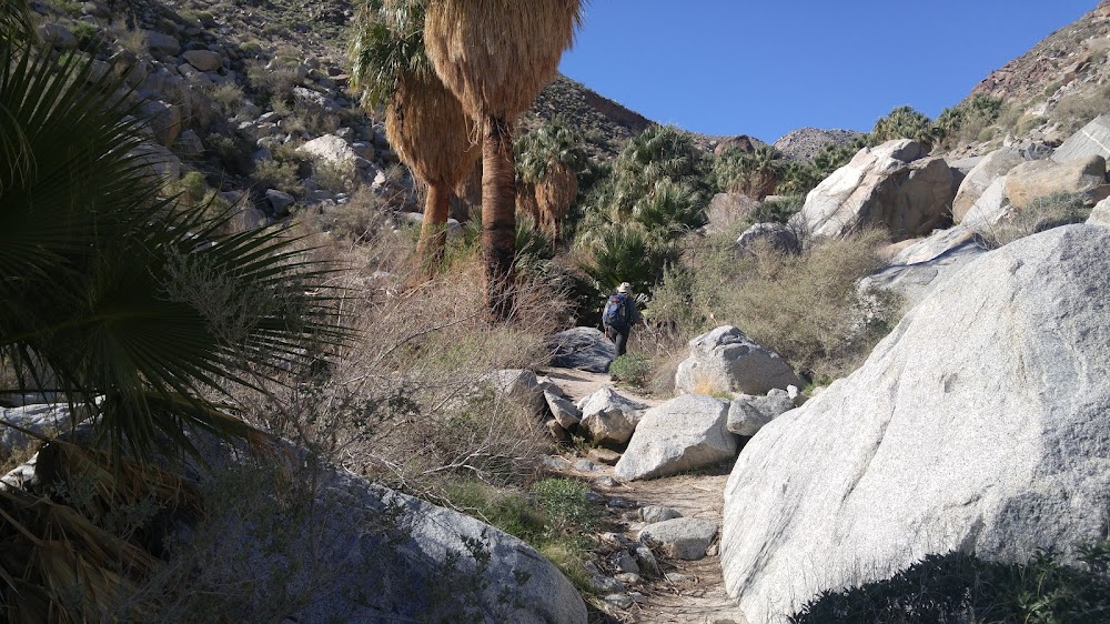 Yaqui Wash Primitive Campground