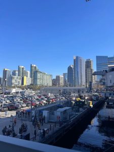 New Condo Developments in San Diego 2025: What to Expect