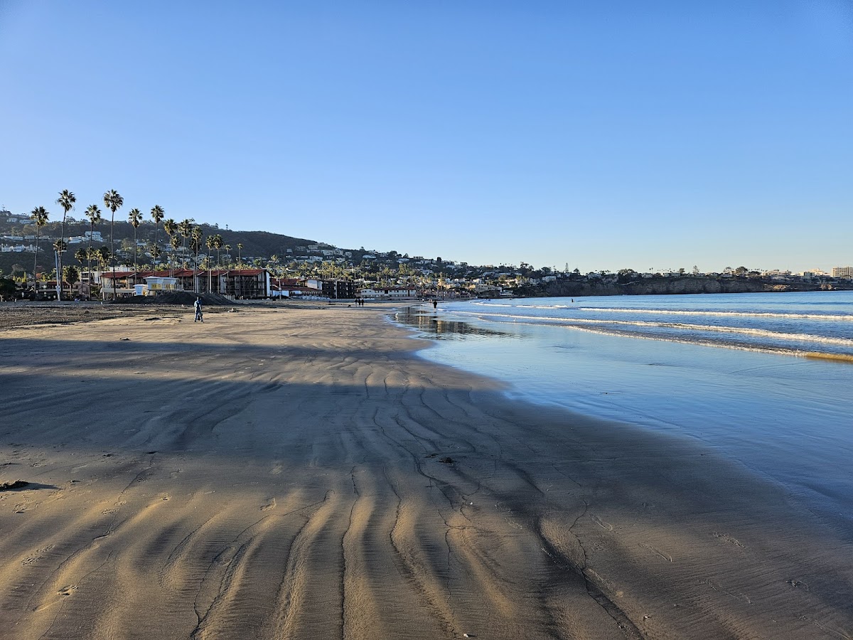 Best Beaches for Swimming in San Diego: Calm Water, Lifeguards & Warmest Spots
