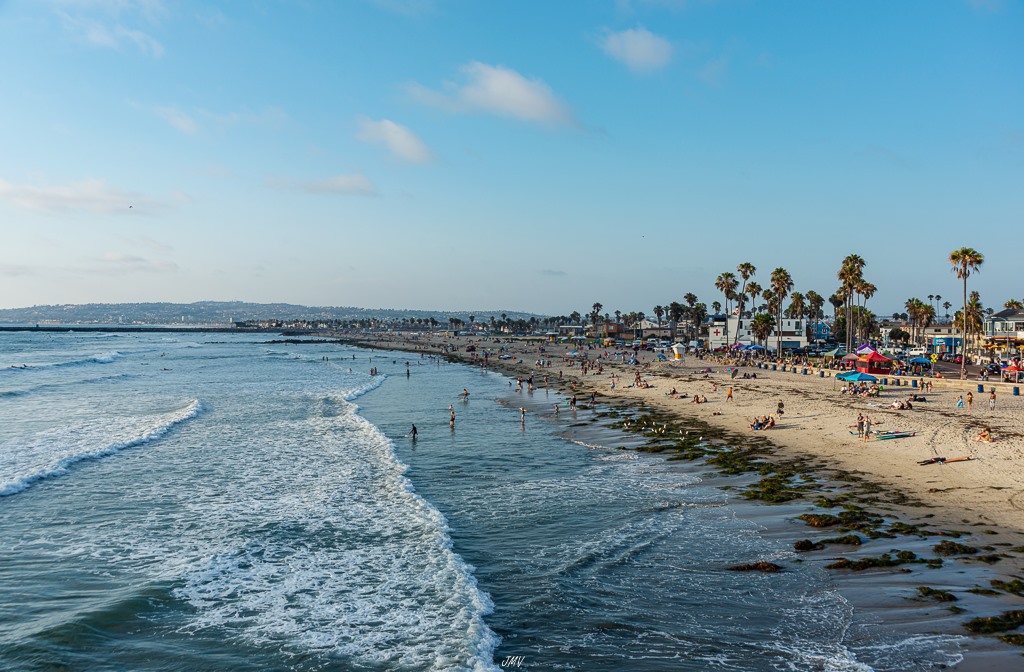 Best Beaches in San Diego: Complete Local Guide 2026